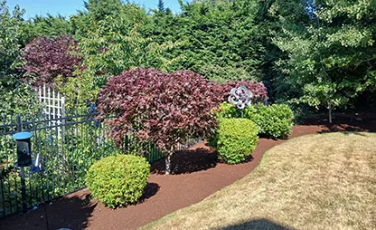 Landscape Tips - How to Fix Drainage Issues in Your Seattle Yard