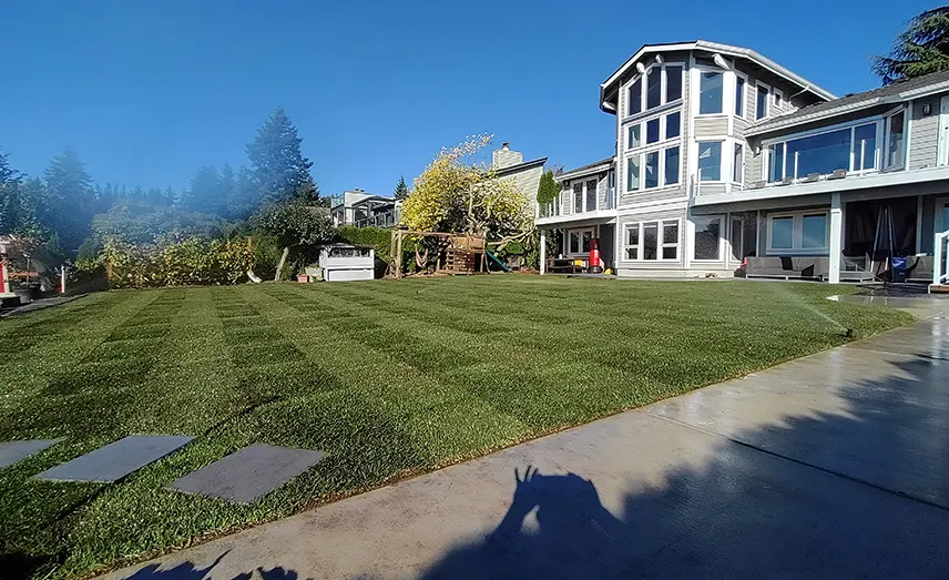 artificial-turf